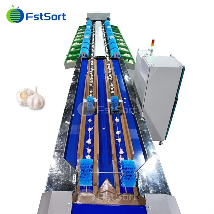 Hochwertige Knoblauch-Gewichtsortiermaschine