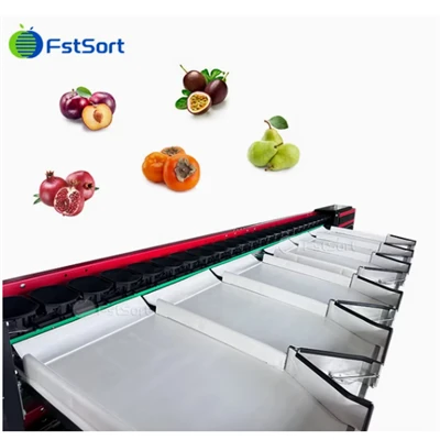 Gewichtssortiermaschine für Passionsfrüchte