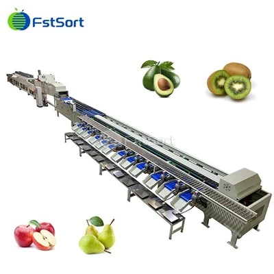 Heißer Verkauf Avocado-Gewichtsortiermaschine